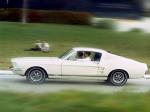 Ford Mustang GT Fastback 1967 года